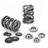 Supertech Dual Valve Spring Kit - Mazda MX-5 Miata 1.6L (70lbs at 34.2mm)