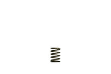Turbosmart Gen-V WG38/40 3psi Black Inner Spring - view 1