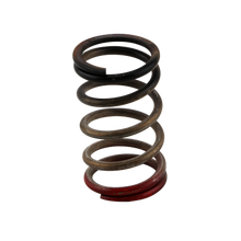 Turbosmart Gen-V WG40/45 HP 40 PSI Spring Upgrade - Black/Red - view 1