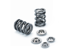 Supertech Single Valve Spring Kit - Honda D16Z / D16Y8 / D17
